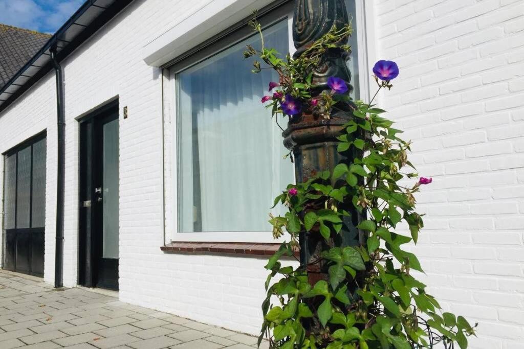Vakantiehuis Vlakbij Het Strand En Natuur Villa Biervliet Luaran gambar